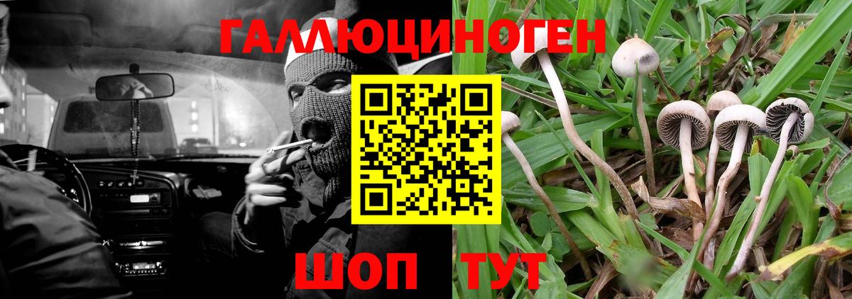 Галлюциногенные грибы GOLDEN TEACHER Печора