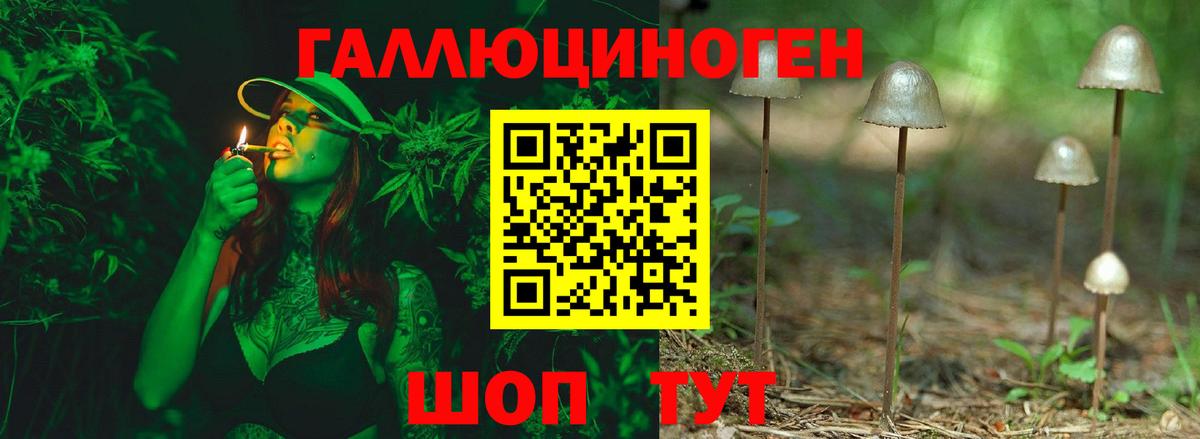 Псилоцибиновые грибы MAGIC MUSHROOMS  Галлюциногенные грибы ЛСД  Печора  купить наркотики цена  Вход с VPN 
